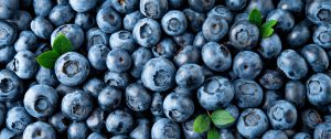 Frische Heidelbeeren