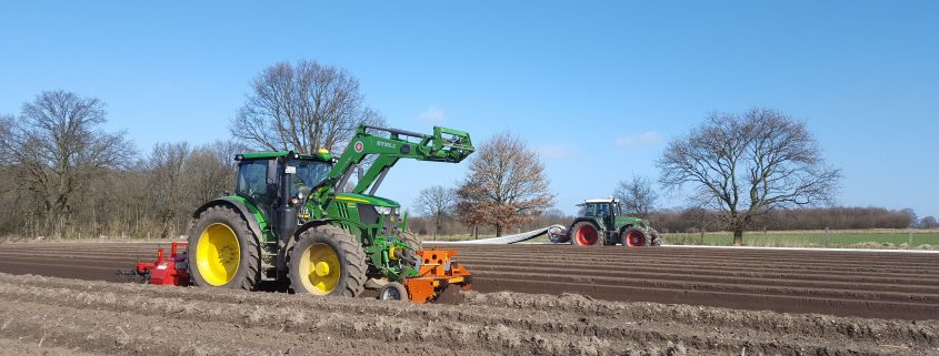 Spargel wird aufgedämmt